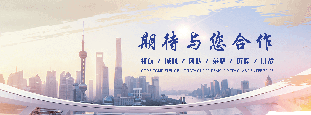 连云自研AI全域获客系统与成熟落地运营体系,GEO推广公司,口碑好的GEO推广公司